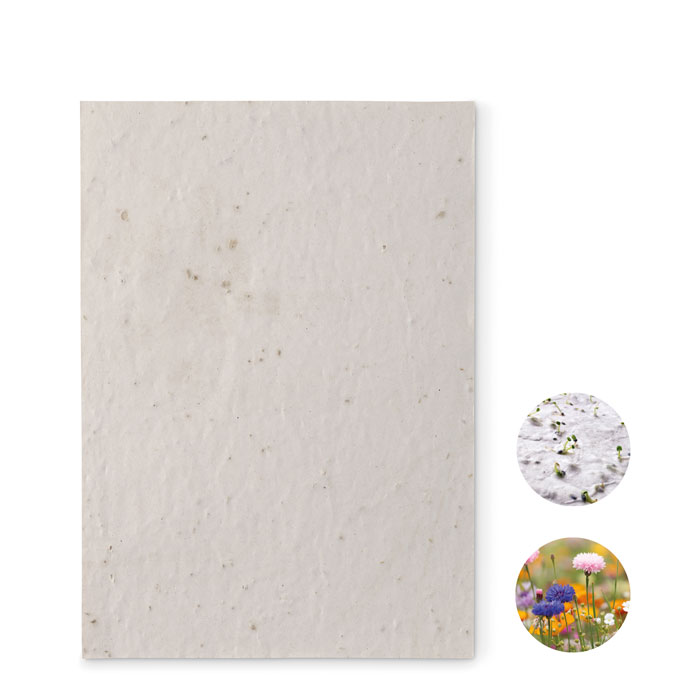 ASIDE - DIN A5 Wildblumen-Samenpapier
