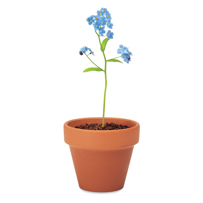 FORGET ME NOT - Terracotta-Topf Vergissmeinnich