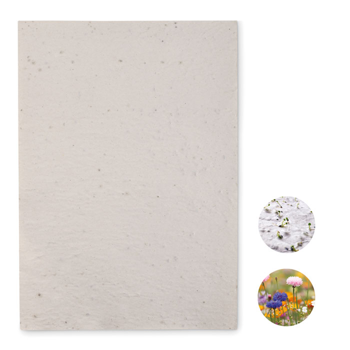 ASIDI - DIN A4 Wildblumen-Samenpapier