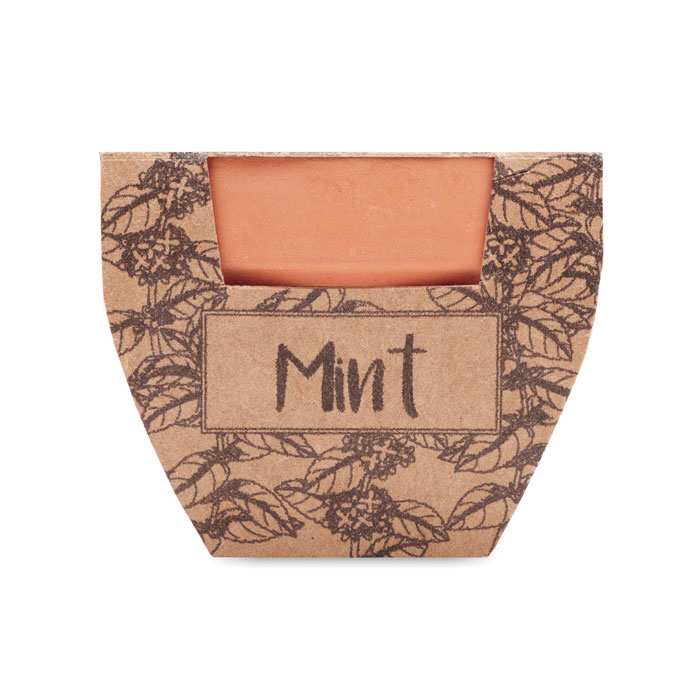 MINT POT - Terrakotta-Topf Minze