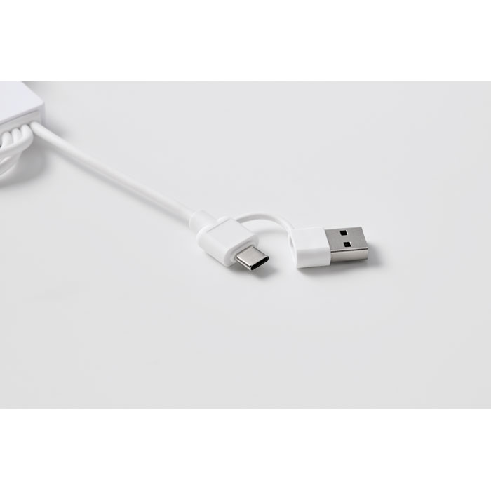 ICAB - 2in1 Ladekabel Typ-C